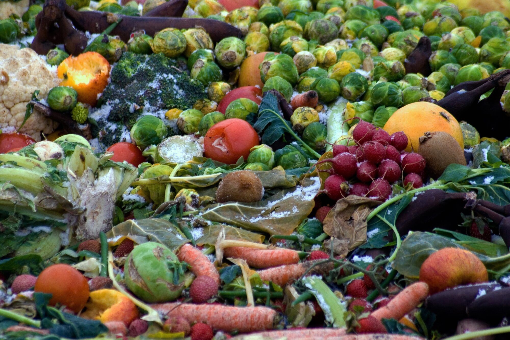 verdorbenes Gemüse und Obst